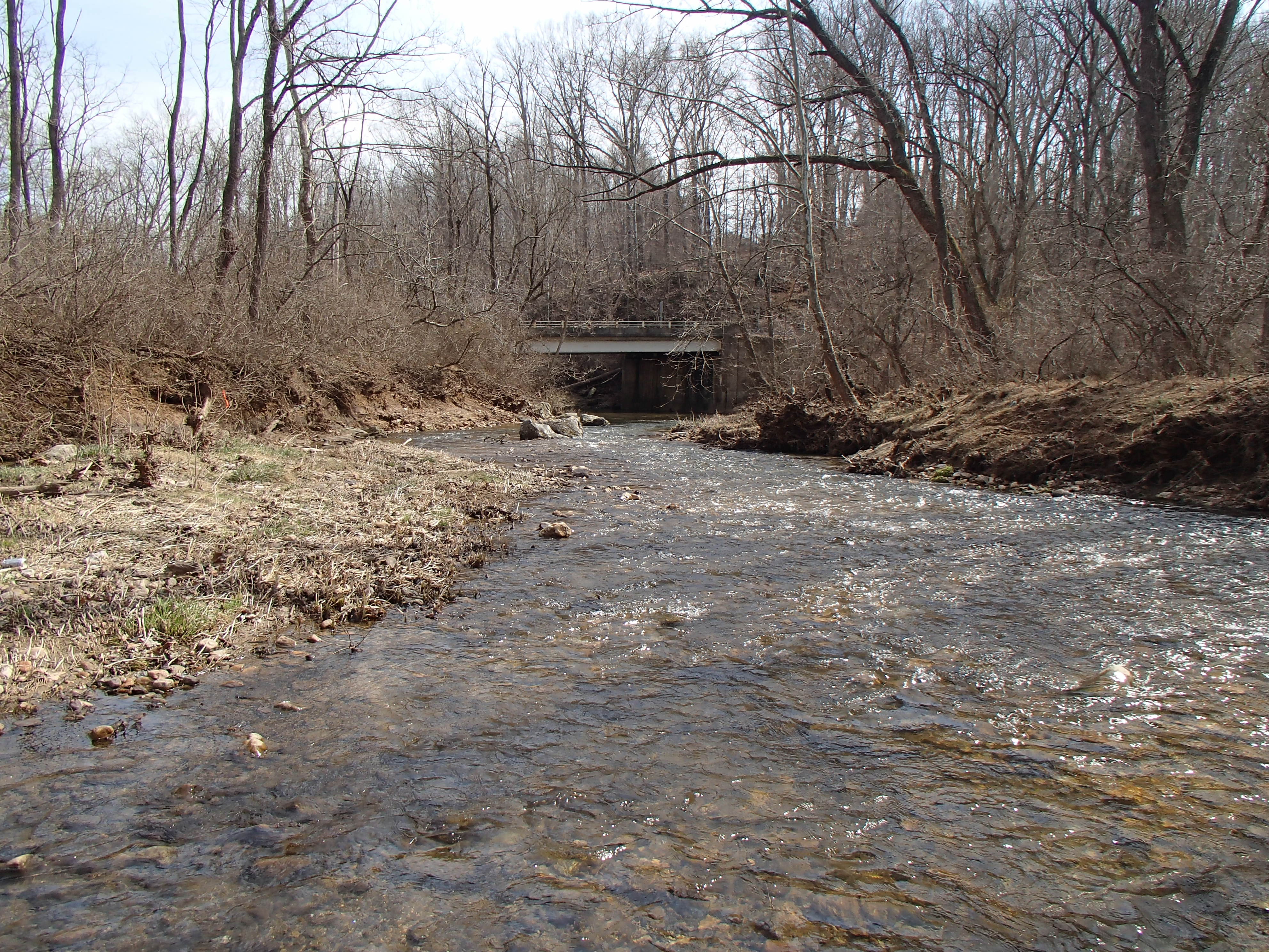 Field photo showing stream conditions at site ATKI-303-R-2016_midpoint downstream